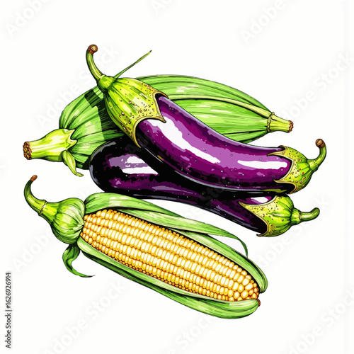 fresh vegetables on white background