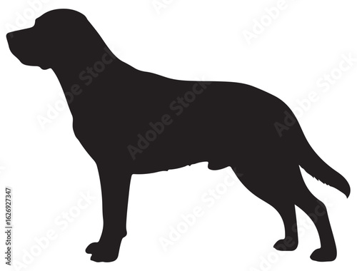 LABRADOR RETRIEVER DOG SILHOUETTE