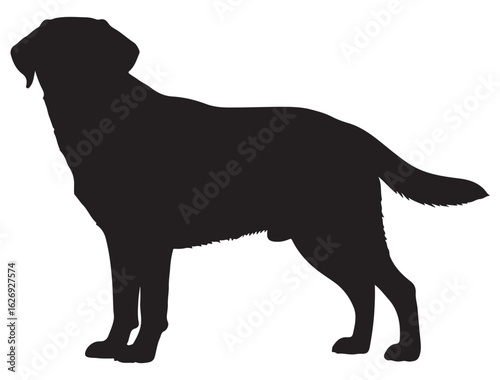 LABRADOR RETRIEVER DOG SILHOUETTE
