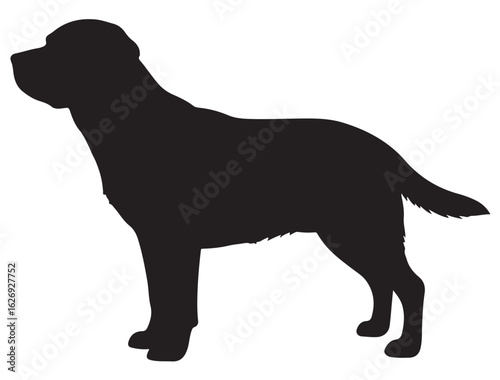 LABRADOR RETRIEVER DOG SILHOUETTE