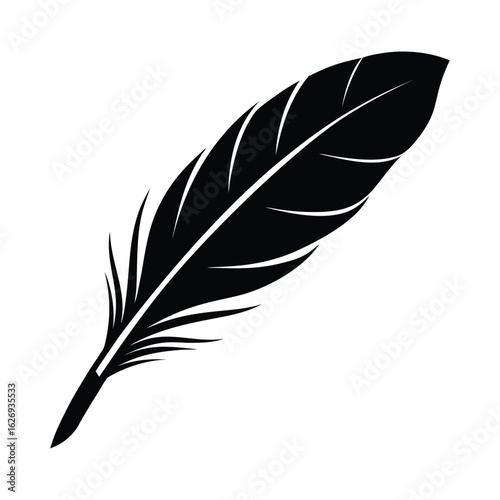 A feather or quill art illustration, suitable for a design element
