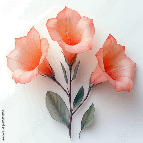 watercolor vector of Trumpet Creeper Flower, isolated on a white background.
