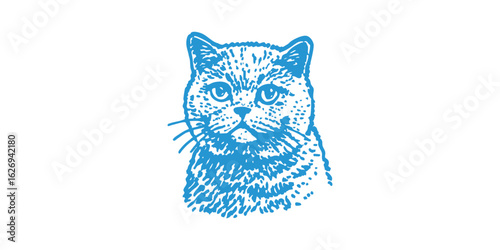 British Cat Drawing T Shirt Vector Design for Cute and Stylish Animal Lovers