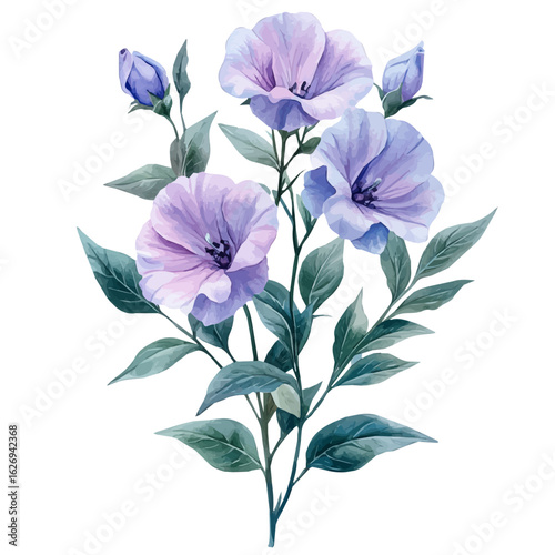 Sweet Pea Flower, watercolor painting vector, isolated on a white background.