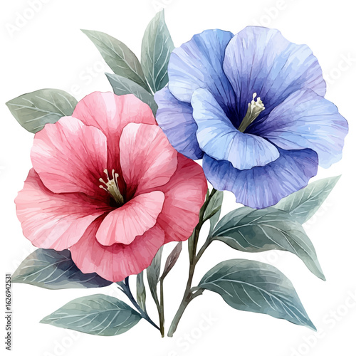 watercolor of Sweet Pea Flower, vector, isolated on a white background.