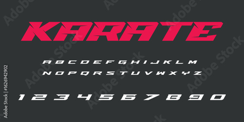 Karate Aikido Ring Fight Font Vector Bold Martial Arts Typography Design for Sports Posters T Shirts Logos Dojo Graphics Combat Events and Fighting Spirit Themes