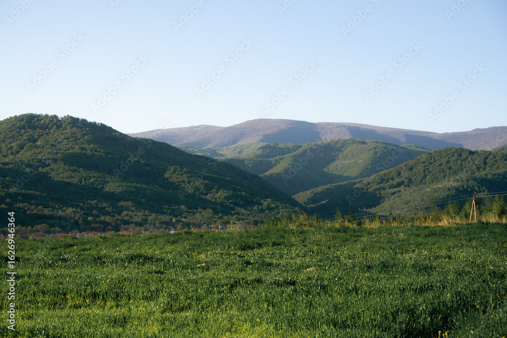 Fototapeta premium Carpathian mountain landscape with trees