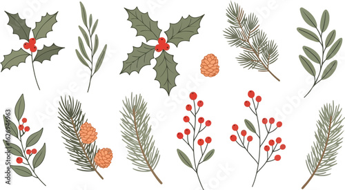 Collection of festive winter foliage and berries isolated on transparent background