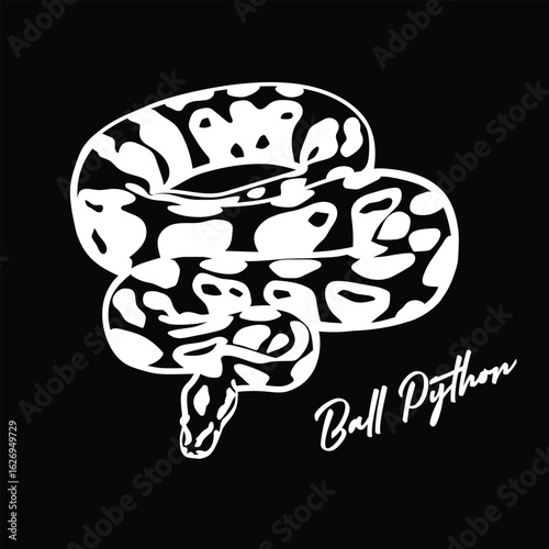 Ball Python Vector T Shirt Design Snake Illustration in Coiled Pose Reptile Art for Animal Lovers Stickers Posters Exotic Pet Merchandise and Nature Inspired Graphic Projects