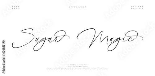 Hand drawn vector alphabet. Modern monoline signature script font. Elegant Signature Font. Best Alphabet Beautiful Calligraphy Signature Font. vector illustration 
