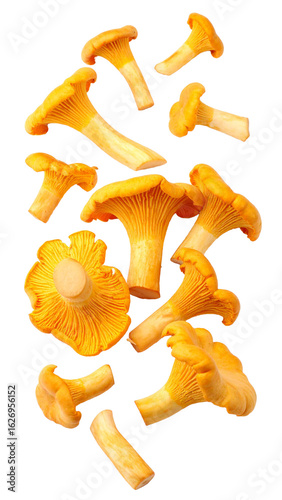 Fresh chanterelle mushrooms falling on transparent background