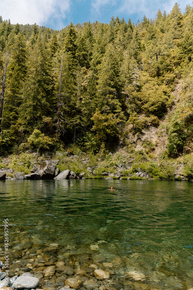 River redwoods blue sky River redwoods blue sky