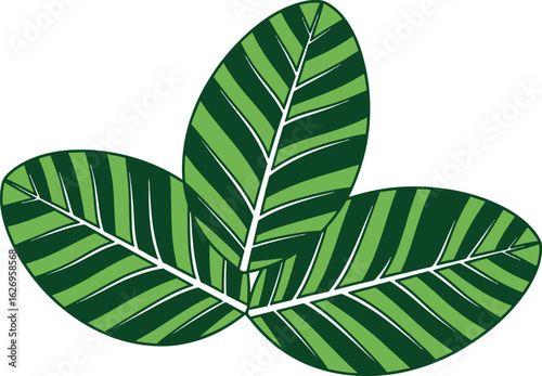 Cluster of three connected elliptical leaves with alternating dark and light green tones, visible midribs and stylized veins, clean vector art 