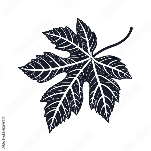 Shilu leaf silhouette on white background.02