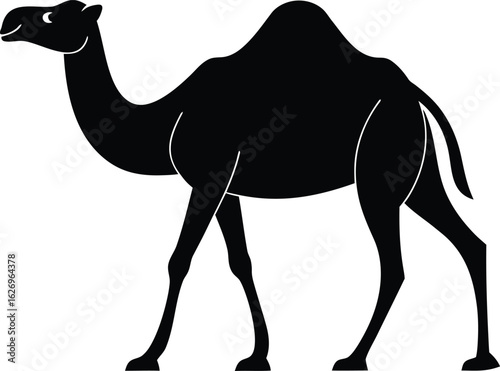 Black silhouette of a dromedary camel with a white outline on a white background vector