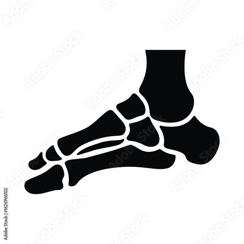 Black foot bone silhouette anatomy