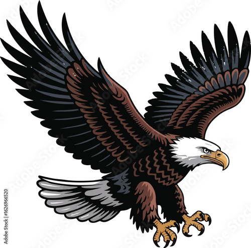 Bald Eagle In Flight With Wings Spread And Talons Extended bird raptor