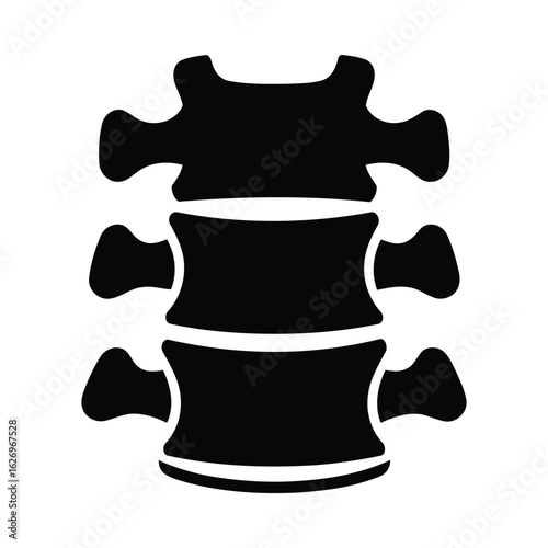 Lumbar spine silhouette anatomy bone