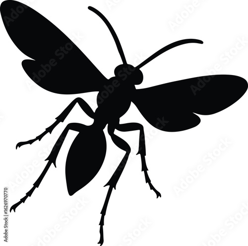 Silhouette wasp insect flying close up isolated vector illustrator
