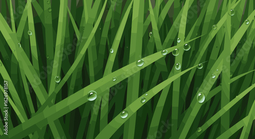 Fresh dew on green grass blades with morning water droplets. Vector illustration