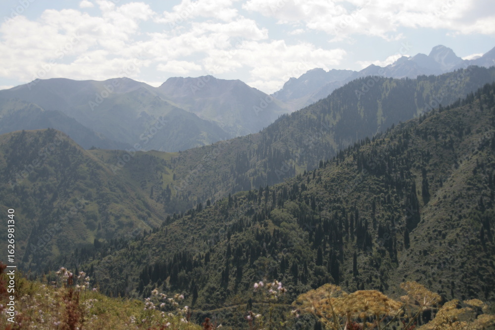 Fototapeta premium mountain landscape in summer
