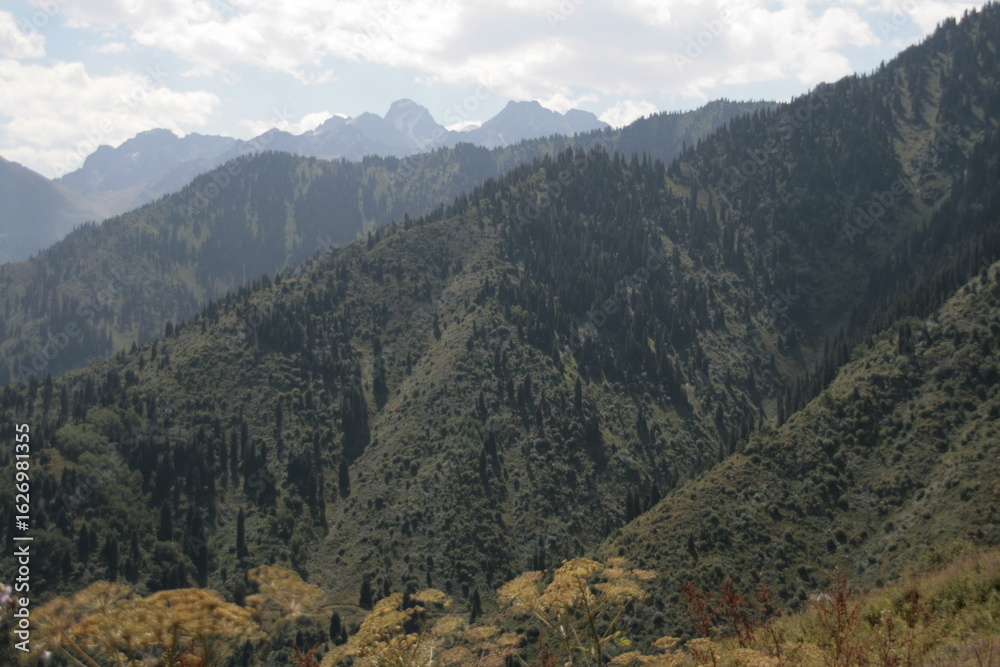 Naklejka premium view of the mountains