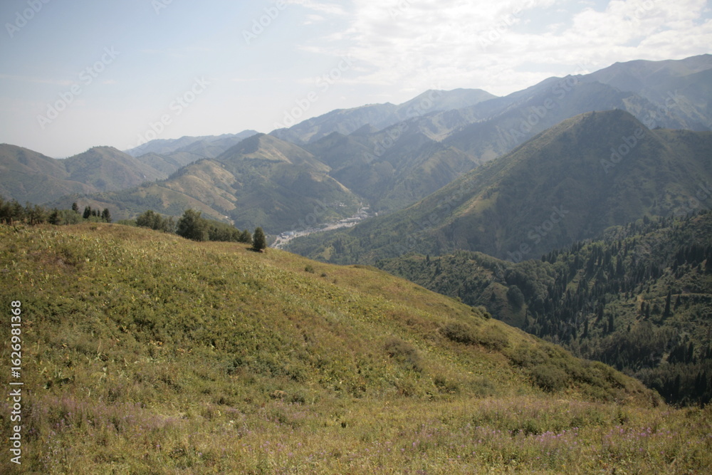 Naklejka premium mountain landscape in summer