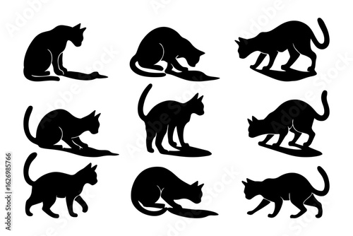 Black cats licking and grooming isolated on white background