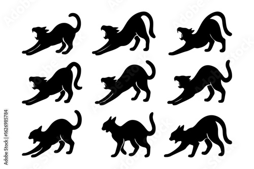 Black cats stretching and yawning isolated on white background
