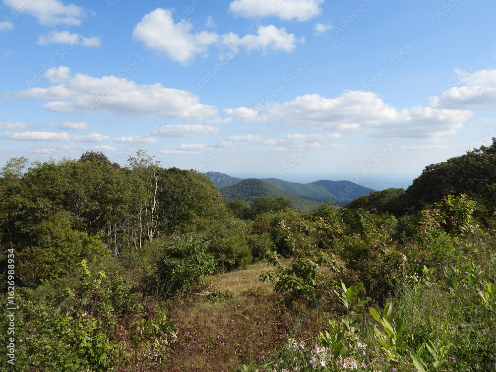 Obraz premium The beautiful scenery, scenic view, Thorofare Mountain Overlook. Shenendoah National Park, Blue Ridge, Appalachian mountains, Virginia.