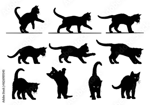 Set of black cat silhouettes in various poses isolated on white background