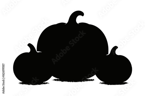 Silhouette of three pumpkins isolated on white background for fall season