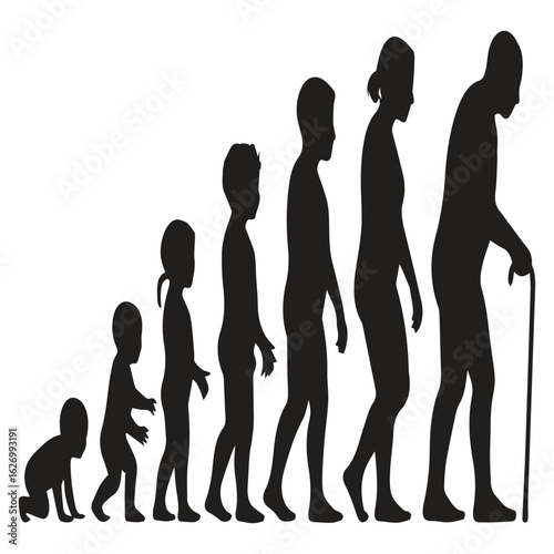 Illustration of the human life cycle, depicting the various stages of life from infancy to old age, showcasing the progression of development and aging isolated on white background