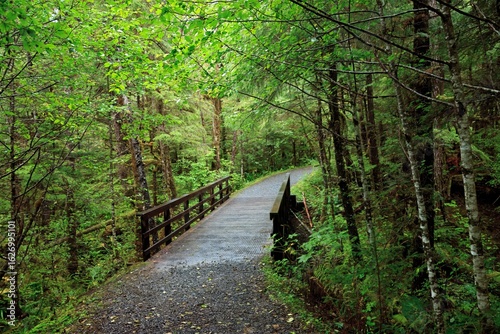 Alaska Rain Forest trail and footbridge