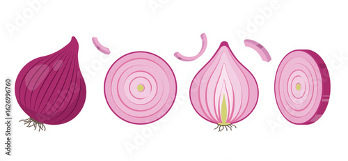 Red Onions. Whole Onion bulb in peel, halved onion, slice and pieces. Cook ingredients, spices. Organic food icons. Vector illustration isolated on white background.