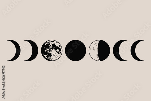 Illustration showing the phases of the moon in a horizontal alignment on a light background