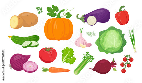 Fresh vegetables icons. Pumpkin, potato, eggplant, tomato and salad, cabbage and paprika, cucumber, carrot and beet, onion and garlic. Vector icons illustration isolated on white background.