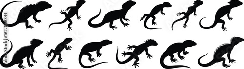 Set of lizard silhouette poses, black reptile vector icons, spiky tail creatures, crawling and standing positions, wild animal illustration