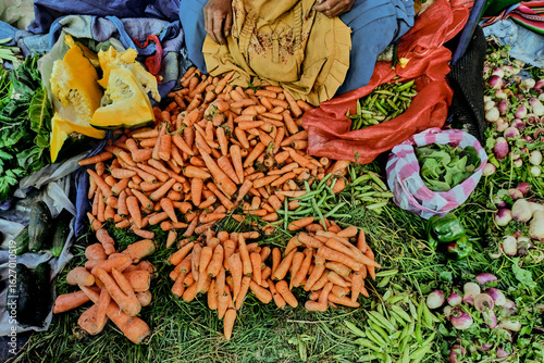 Harvesting lots of vegetables in ground