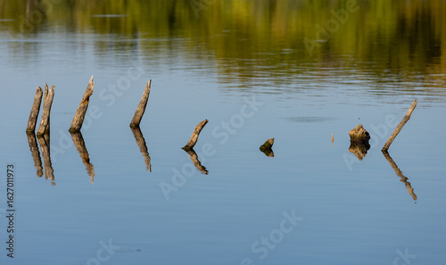 Lake Sticks