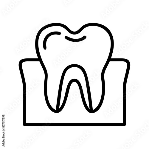 Tooth anatomy dental care oral hygiene dentist teeth molar root enamel gums outline drawing vector