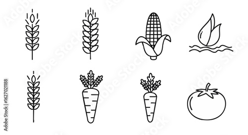 Vector icon set of farm crops and vegetables. Outline symbols for wheat, corn, carrot, and tomato isolated on a white background