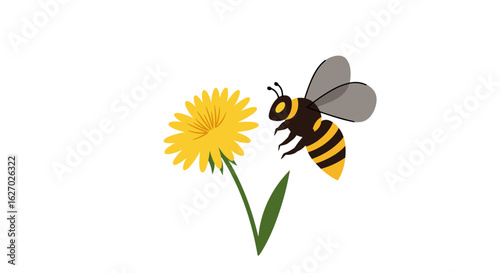 Bee pollinating yellow dandelion flower illustration on white background. Vector illustration
