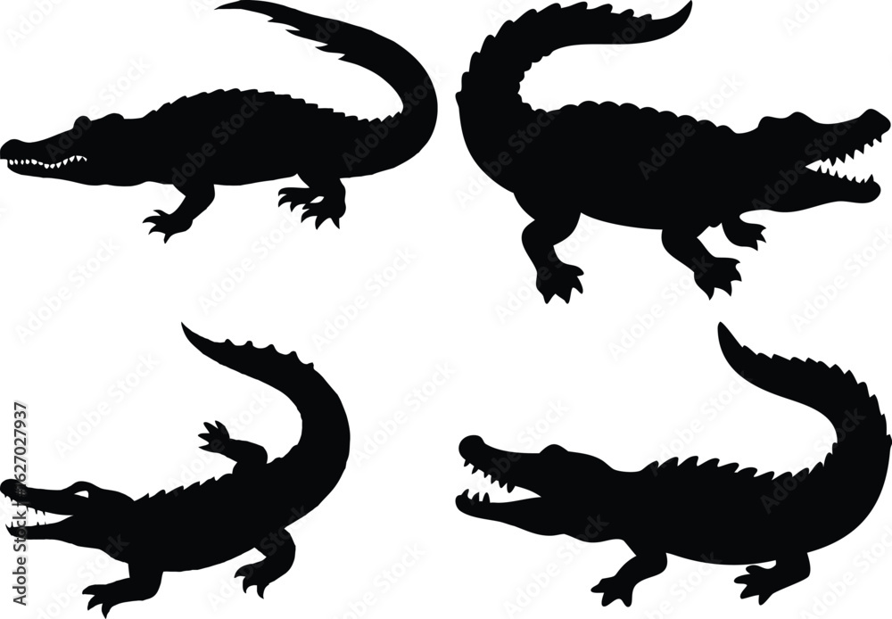 Fototapeta premium Crocodile Vector Art