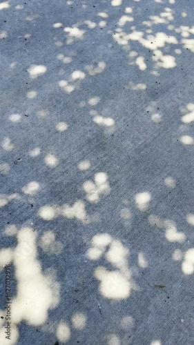 shifting tree shadows dance across the sunlit sidewalk as a gentle breeze sways the branches above creating a moving pattern of light and dark in a calm and peaceful outdoor setting