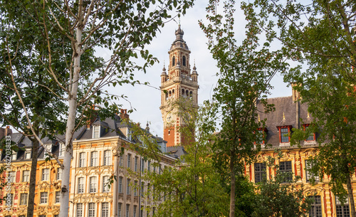 Valokuva Grand Place in the city of Lille and its belfry in green vegetation