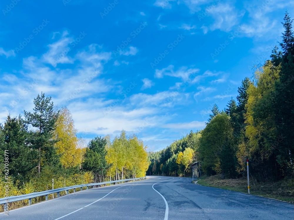 Fototapeta premium road in autumn