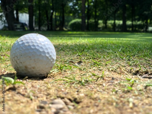 Golf Ball on the Green Ground
