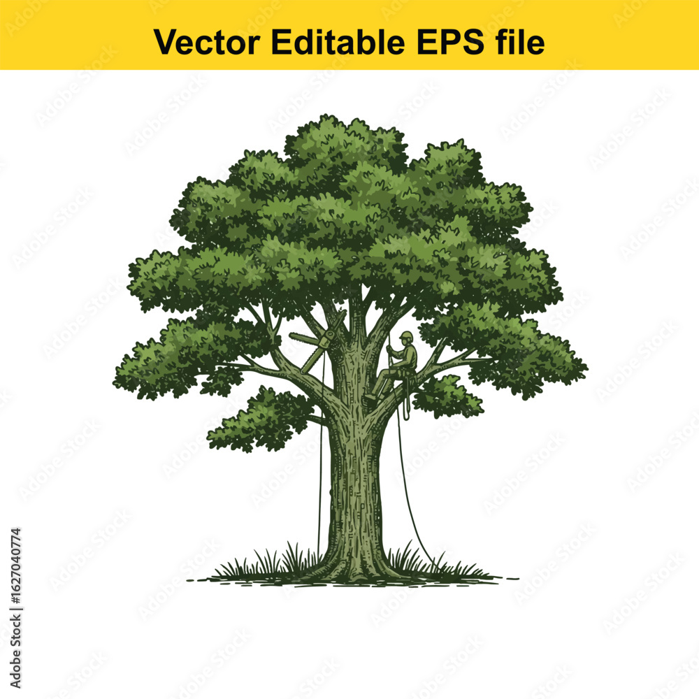 Fototapeta premium Vector art of arborist climbing a large tree for pruning, isolated on white background 