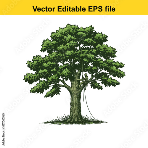 Vector art of arborist climbing a large tree for pruning, isolated on white background 